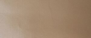 PL 9148 Beige