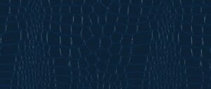 PL 9182 Blue
