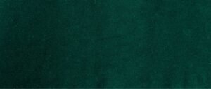 PP 2035 Green